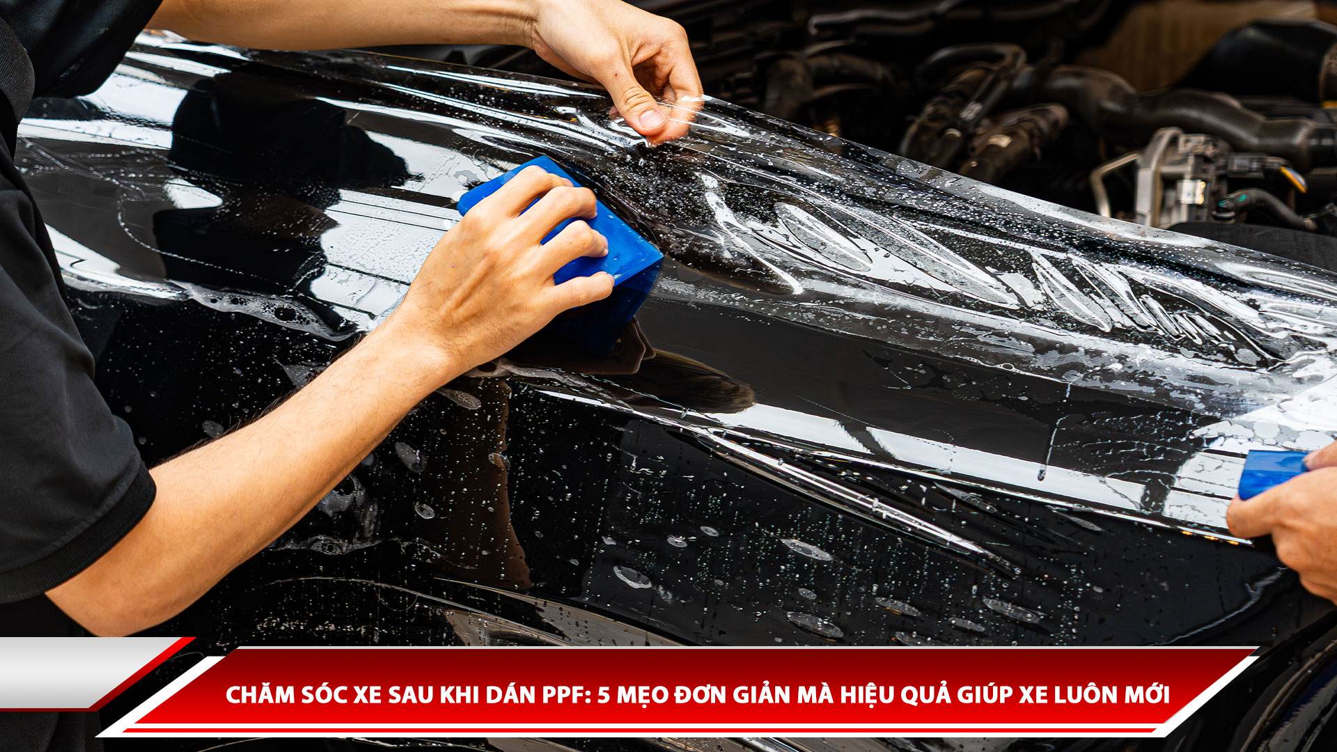 Chăm sóc xe sau khi dán PPF: 5 mẹo đơn giản mà hiệu quả giúp xe luôn mới